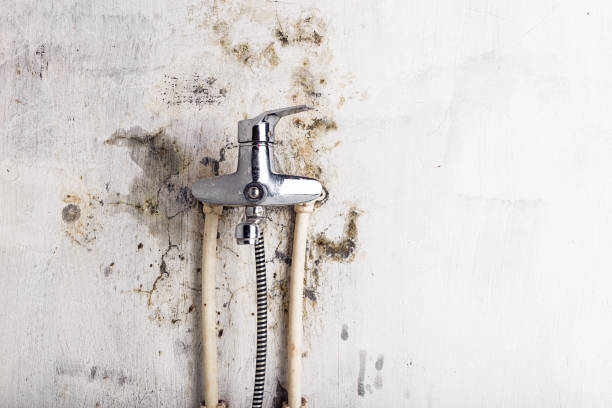 Best Office Mold Removal Services  in Buckner, KY