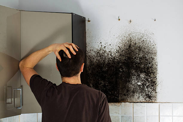 Best Residential Mold Removal  in Buckner, KY